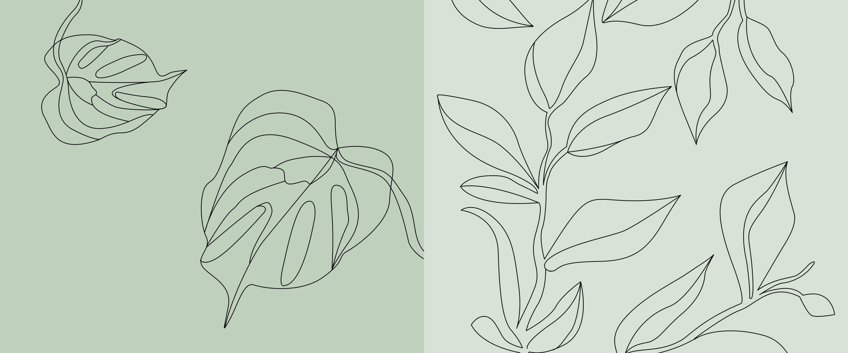 Plants scribble